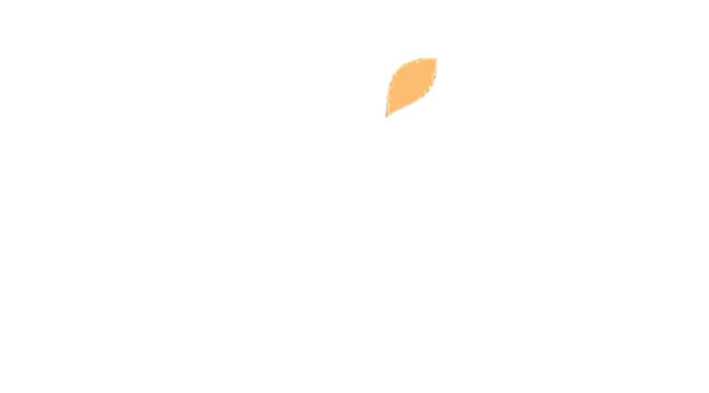 WIX